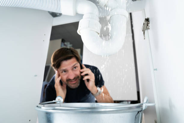 Best Affordable Plumbing Services  in Aurora, IN