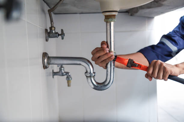 Best Local Plumber Services  in Aurora, IN